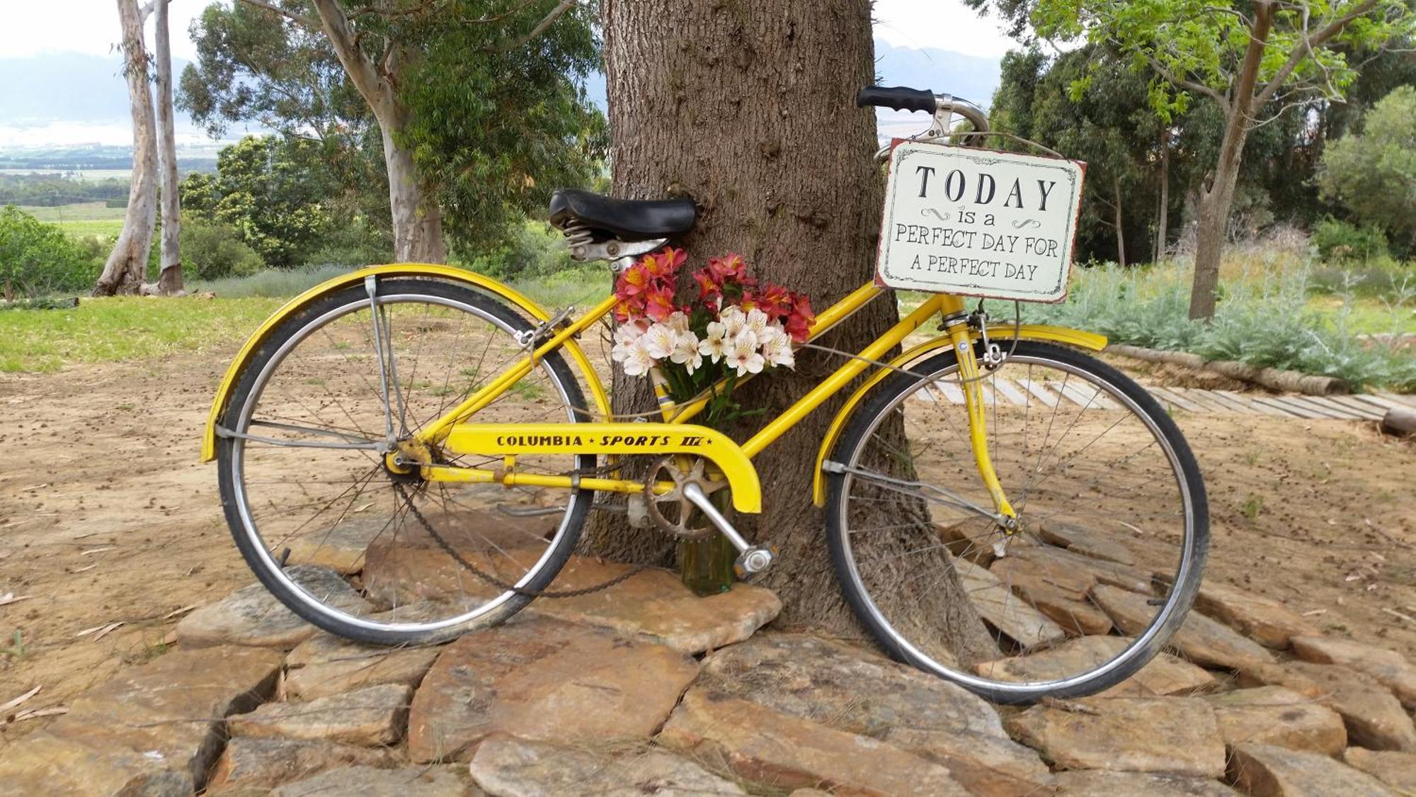 Oudekloof Wine Estate Βίλα Tulbagh Εξωτερικό φωτογραφία